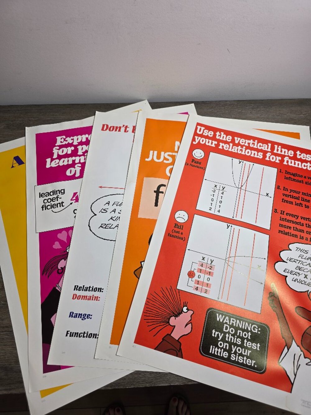 Set of Five (5) Algebra Posters Anchor Charts for a Classroom or Homeschool